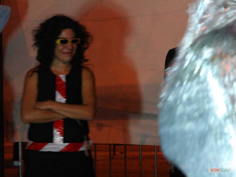 artisteslibres11
