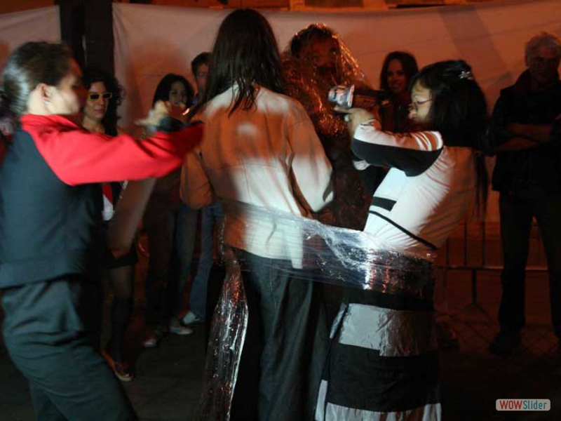 artisteslibres14
